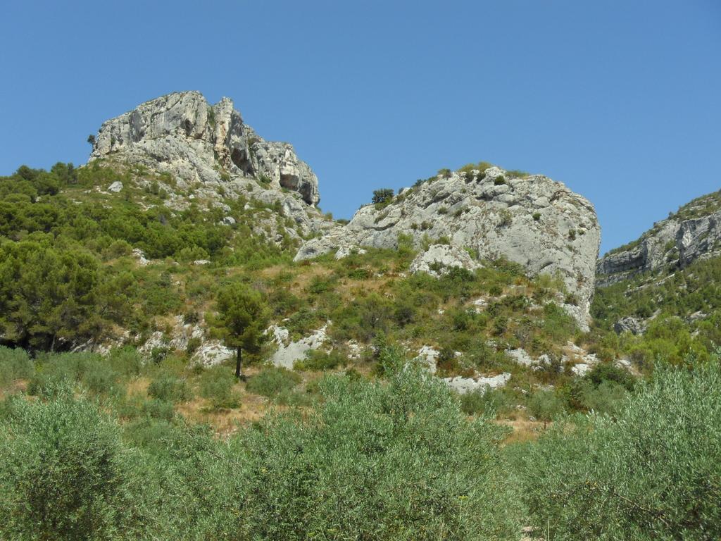 Bastide De La Lezardiere Fontaine-de-Vaucluse Eksteriør bilde