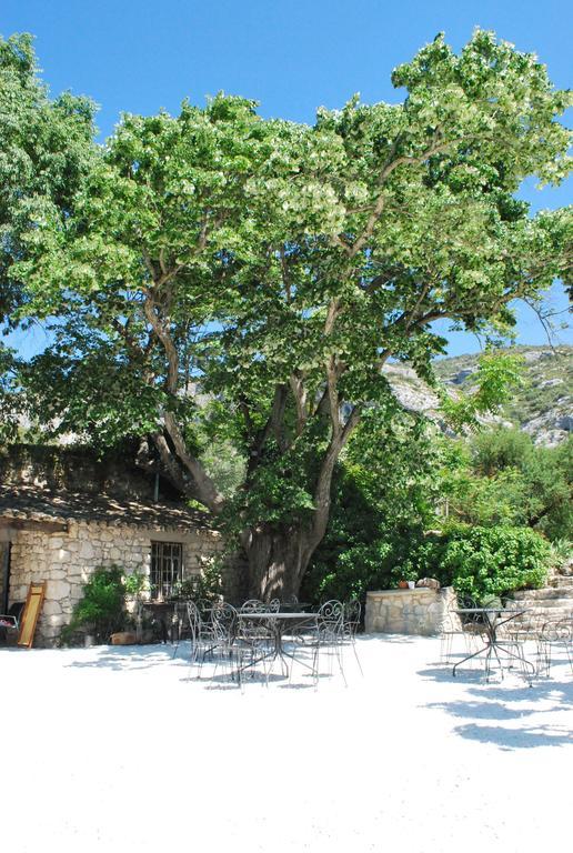 Bastide De La Lezardiere Fontaine-de-Vaucluse Eksteriør bilde